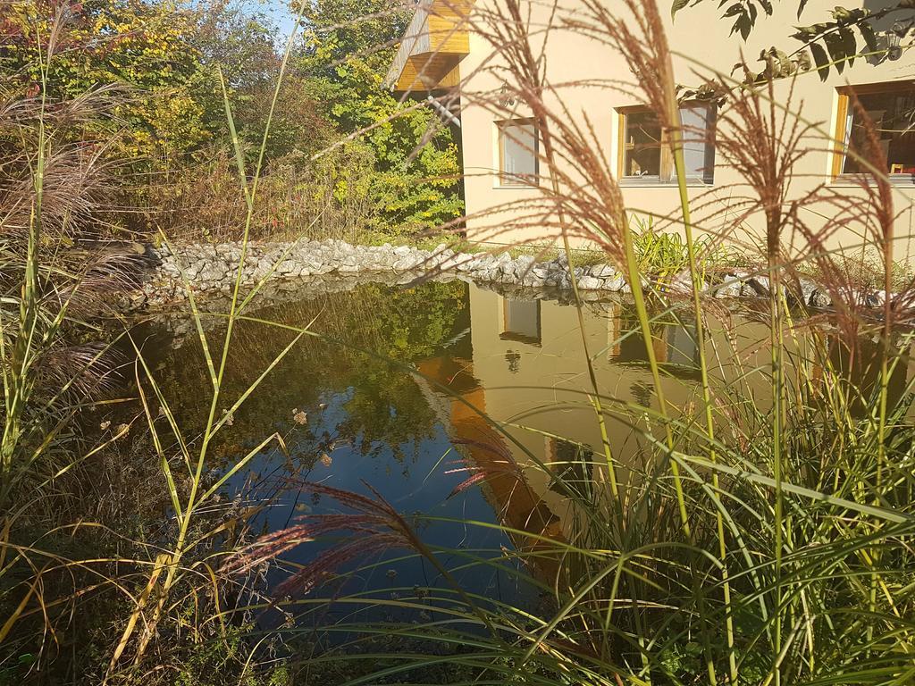 Kincses Vendeghaz Hotel Balatongyörök Esterno foto