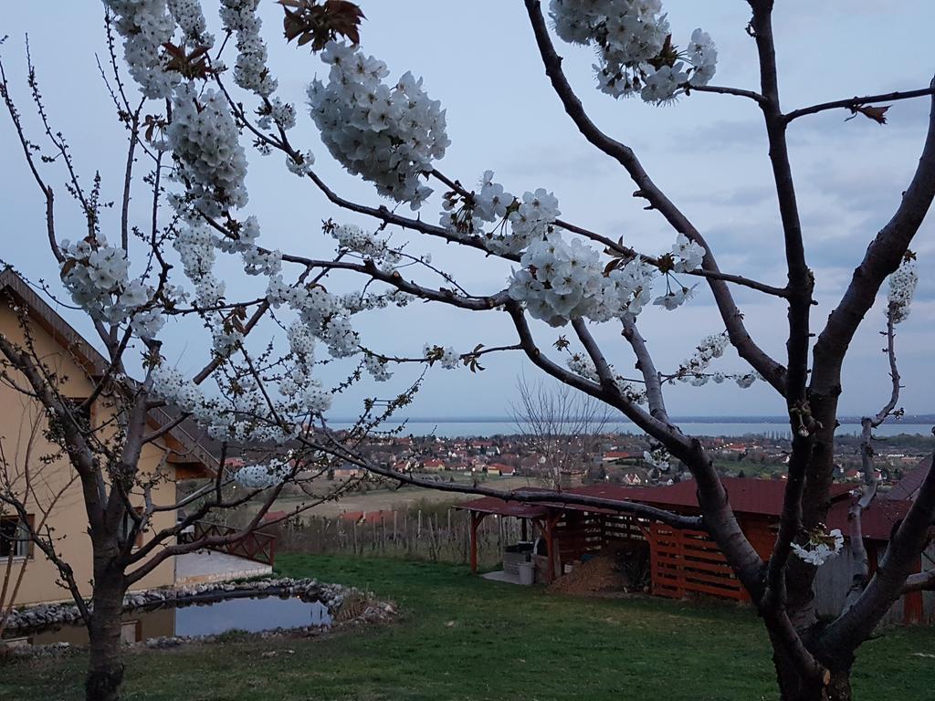 Kincses Vendeghaz Hotel Balatongyörök Esterno foto
